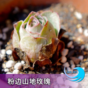 亚洲厨卫营销中心_德国亚洲营销中心