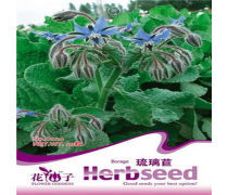 植物类种子企业黄页