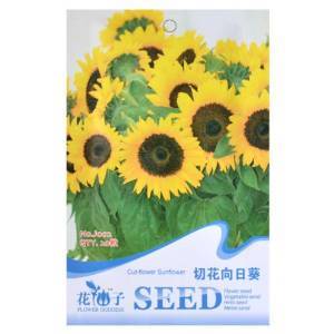 津沽园艺 切花向日葵种子5包 花卉种子 花籽 花种子 盆栽 耐旱易活 【津沽园艺】 价格 报价 图片 - 亚马逊中国