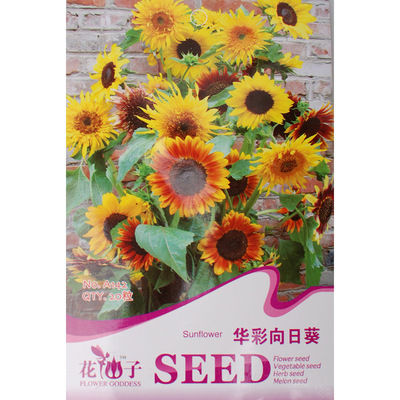 阳台盆栽花仙子向日葵种子庭院花卉种子 玩具熊向日葵可大量批发 _一淘网