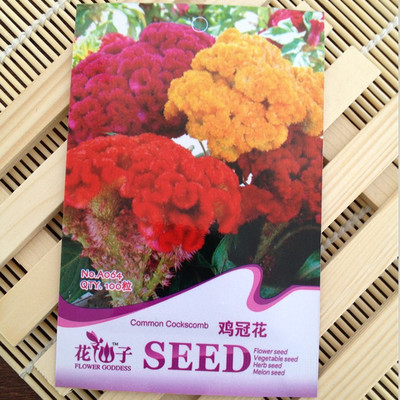 鸡冠花种子混色100粒 花色艳丽 观赏花卉 阳台花卉种子 盆栽 易种 图片_高清大图 