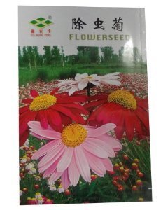 锦萱 除虫菊种子 家庭种植实用装 阳台室内盆栽花卉种子 庭院花种子 【锦萱】 价格 报价 图片