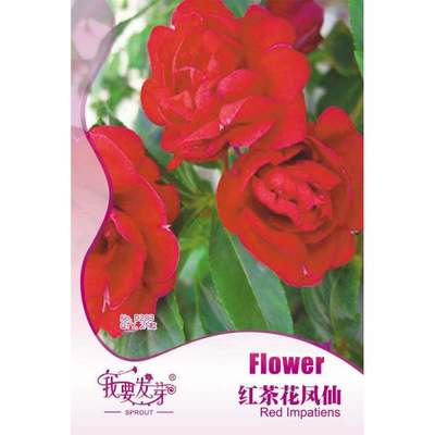 【我要发芽园艺休闲旗舰店】我要发芽 花卉种子 红茶花凤仙花种子 指甲花 大花重瓣 适于花坛 花径 花境 自然种植和盆栽 25粒/包 -苏宁易购