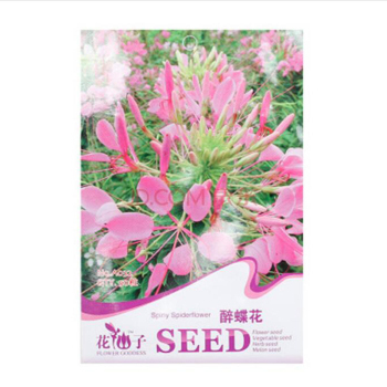 花种 花卉种子 庭院阳台室内盆栽易种 满天星 瓜叶菊 美女樱彩包 醉蝶花【图片 价格 品牌 报价】-京东