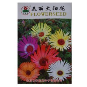 津沽园艺 芳萱苑系列 美丽太阳花种子 花卉种子 花种子 家庭种植 阳台栽培 1包-津沽园艺-价格 报价 图片