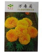 锦萱 万寿菊种子 别称: 臭芙蓉、万寿灯、蜂窝菊、臭菊花、蝎子菊 家庭种植实用装 阳台室内盆栽花卉种子 庭院花种子 瓜果蔬菜种子:亚马逊:家居装修