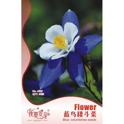 【我要发芽园艺休闲旗舰店】我要发芽 花卉种子 蓝鸟耧斗菜种子 蓝漏斗菜 夜莺 漏斗菜 适宜作花坛 花境 盆栽及切花 55粒/包 -苏宁易购