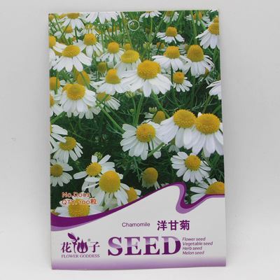 草花彩袋种子 彩包花卉种子【洋甘菊】家庭种植实用装 约50粒-宿迁市国豪园林工程提供草花彩袋种子 彩包花卉种子【洋甘菊】家庭种植实用装 约50粒的相关介绍、产品、服务、图片、价格宿迁市国豪园林工程、种苗、花卉种子、园艺用具、盆栽、绿化苗木