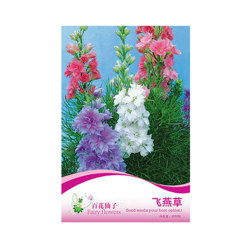 厂家供应 飞燕草种子 阳台盆栽四季种植花卉种子 百花仙子花卉