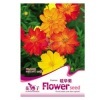 菊类系列种子室内盆栽花卉植物种子多种 彩包种子 2金盏菊50粒【图片 价格 品牌 报价】-京东