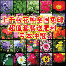 【阳台花卉种子套餐】_绿植园艺价格_最新最全绿植园艺返利优惠_一淘网