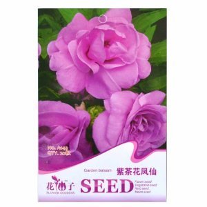 津沽园艺 花仙子系列 紫茶花凤仙花种子 凤仙种子 花卉种子花种子 阳台盆栽 四季可播 1包 【津沽园艺】 价格 报价 图片
