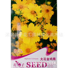 盆栽金鸡菊_盆栽金鸡菊价格_优质盆栽金鸡菊批发/采购 