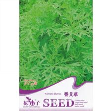 精品推荐驱蚊香草花卉种子