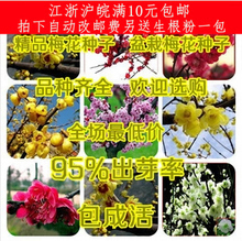 【耐寒梅花】最新最全耐寒梅花 产品参考信息