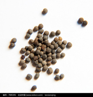 花卉种子 花菱草种子的识别与种植指南