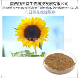 景观花卉种子报价 厂家