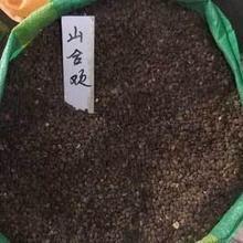 【合欢花种子】最新最全合欢花种子 产品参考信息